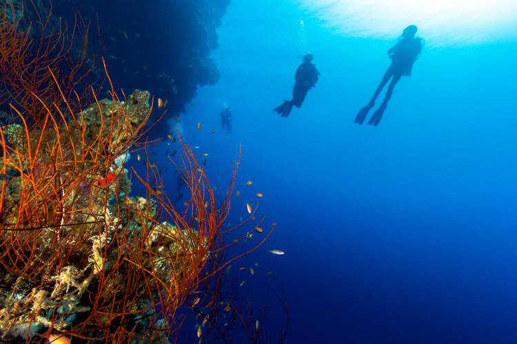 Tauchen Dahab