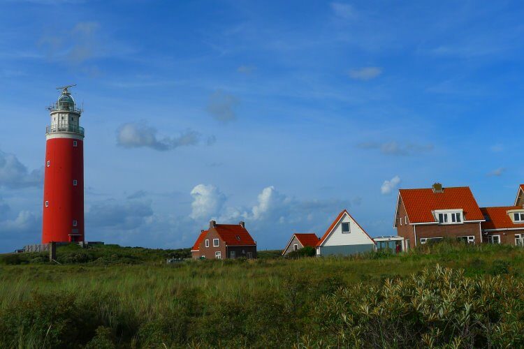 Texel – die Insel mit dem einzigartigen Texelschaf