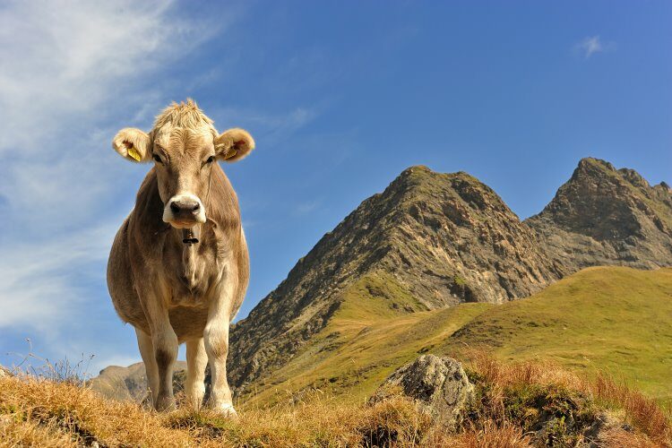 Urlaubsregion Tessin – Bilderbuchregion für Naturliebhaber