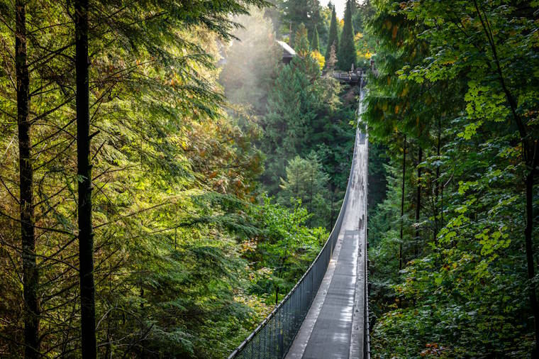 Capilano Suspension Bridge