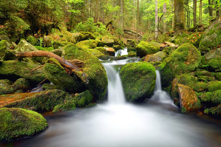 Sumava Nationalpark